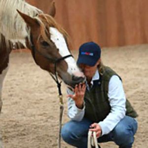 Emma Hutchison Horseback UK